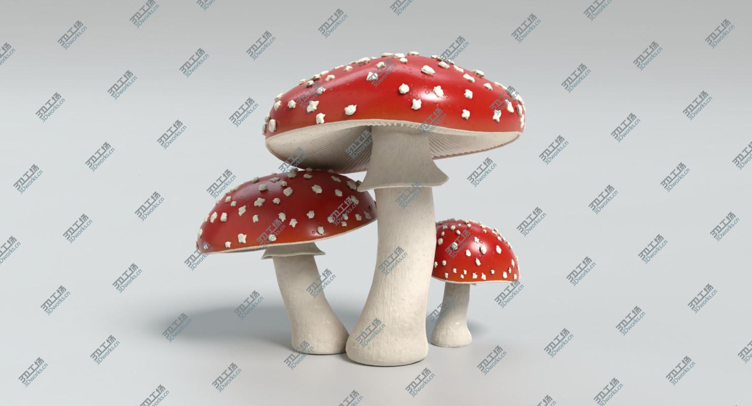 images/goods_img/202104091/3D Mushroom Collection/3.jpg